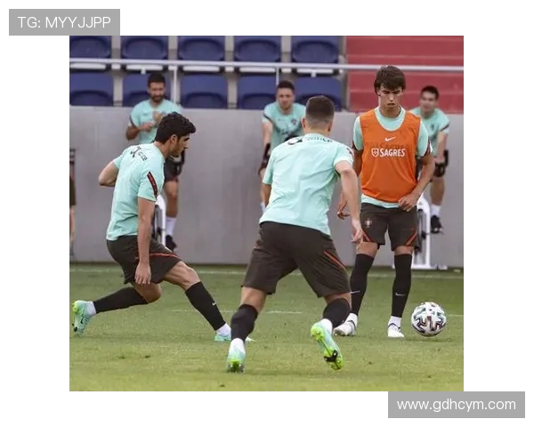 杭州足球队逆袭之路欧锦赛特别报道展现拼搏精神与团队力量